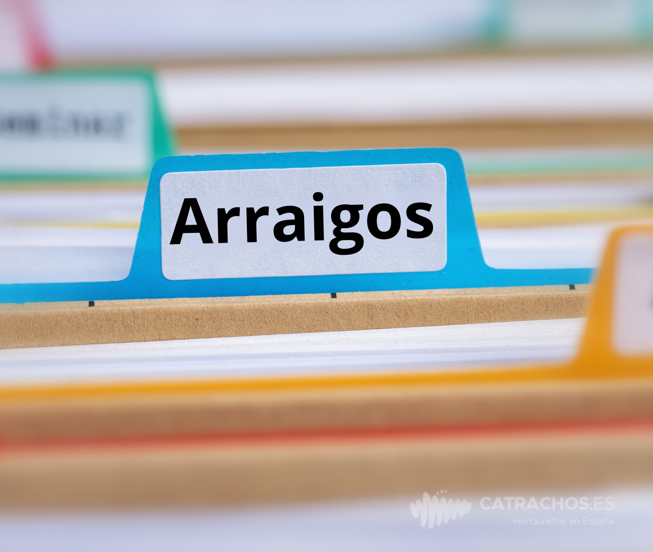 Tipos de Arraigo en España: Requisitos y Diferencias