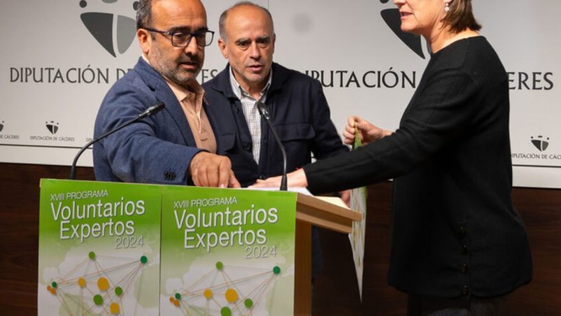 Voluntarios Expertos 2024