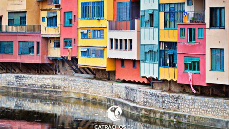 Girona un rincón hondureño